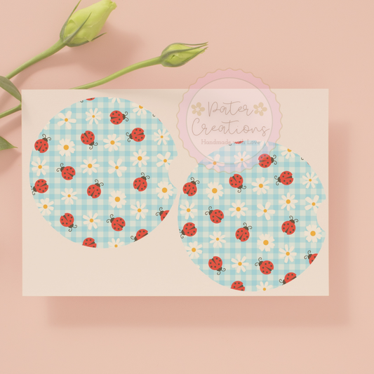 "Ladybug Picnic" Car Coaster